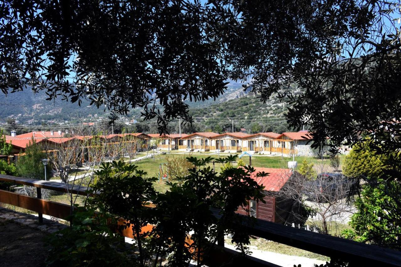 Begonvillage Tatil Evleri 达特恰 外观 照片