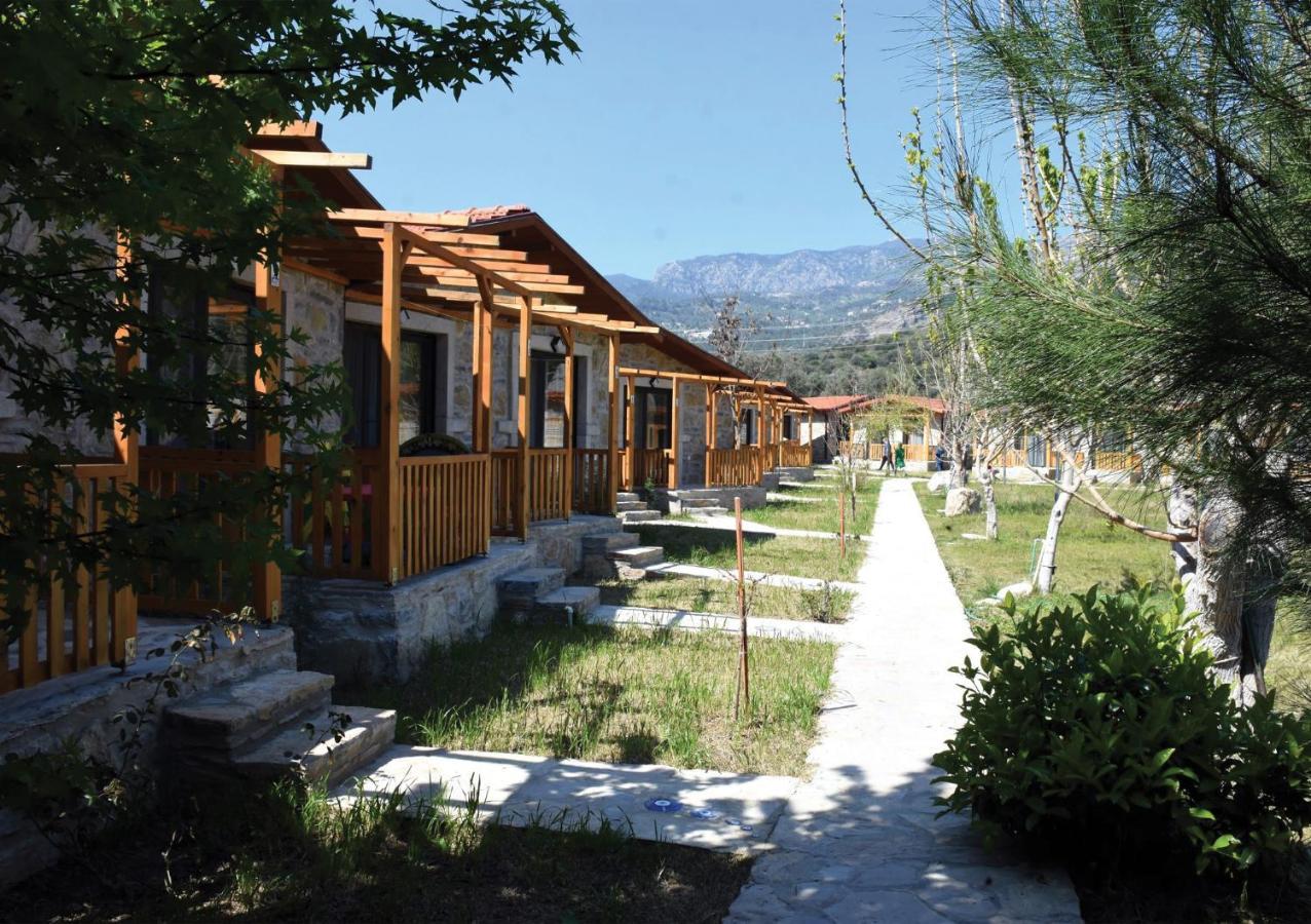 Begonvillage Tatil Evleri 达特恰 外观 照片