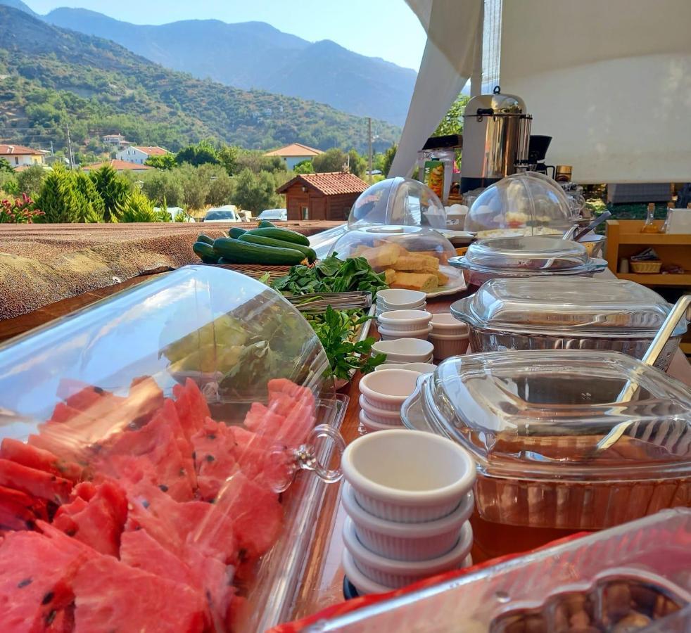 Begonvillage Tatil Evleri 达特恰 外观 照片